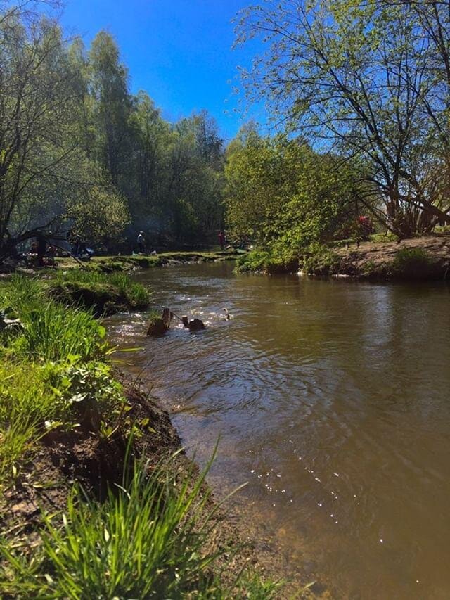 Сезон шашлыков в парке "Новый Оккервиль"😁