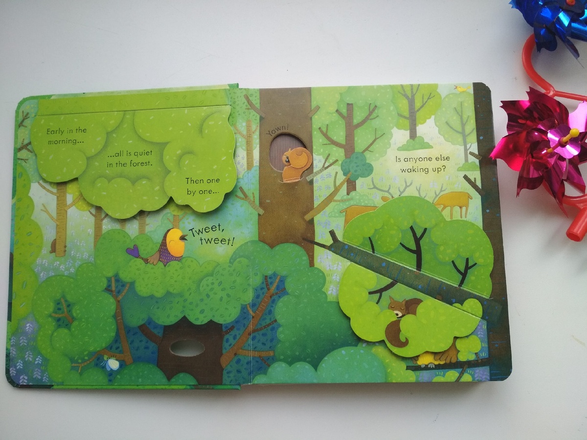 Разворот книги  «The Forest», автор:  Anna Milborne, иллюстрации: Simona Dimitri 