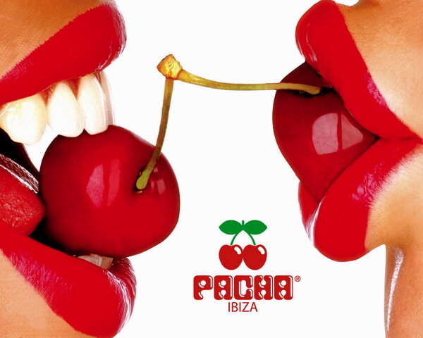 постер проекта "pacha"