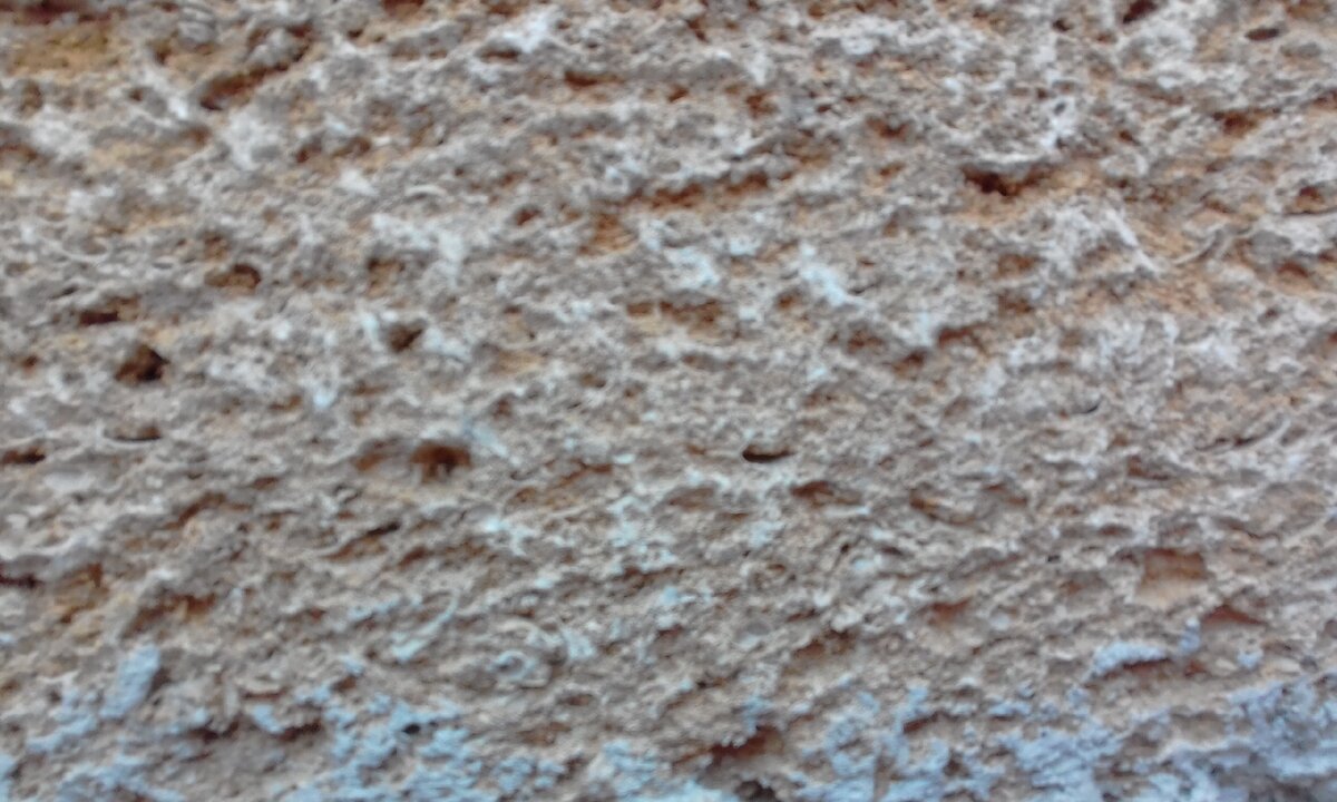 Сам ракушняк.