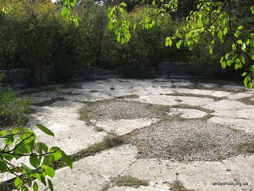 Чаша Зибольда (ее остатки)