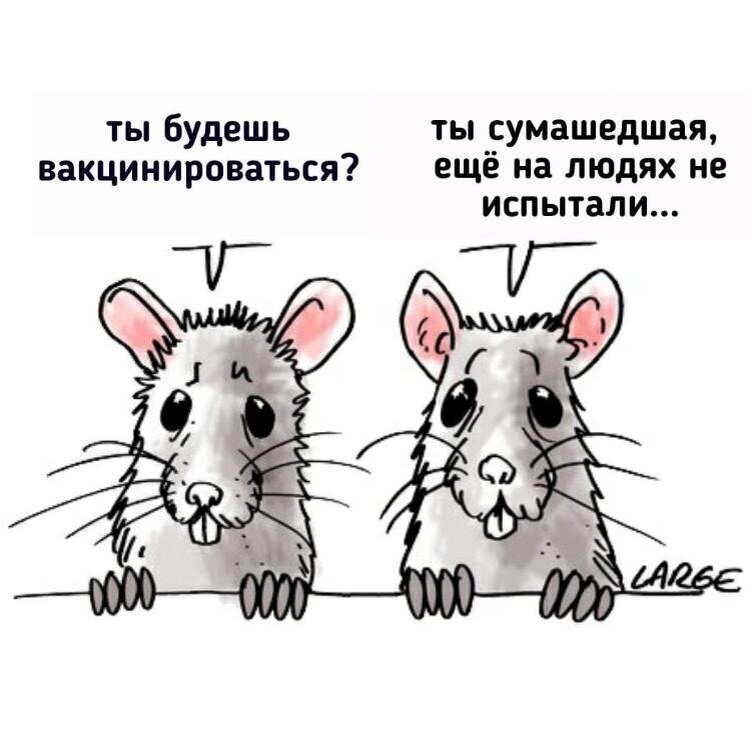 Не смешно. https://forum.guns.ru/