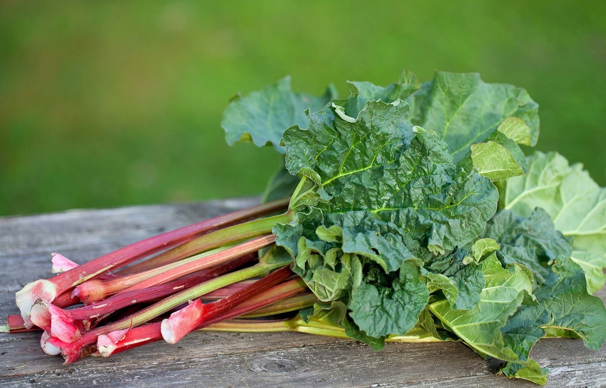 Изображение взято с сервиса Яндекс Картинки 