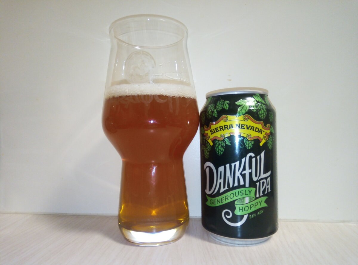  «Dankful IPA» в стакане. Фото автора