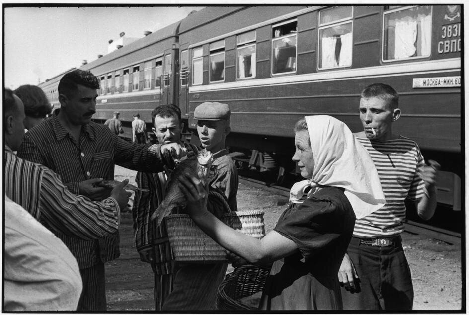 Торговля рыбой на одной из станций Транссиба, 1954 год, фото rcross.livejournal.com