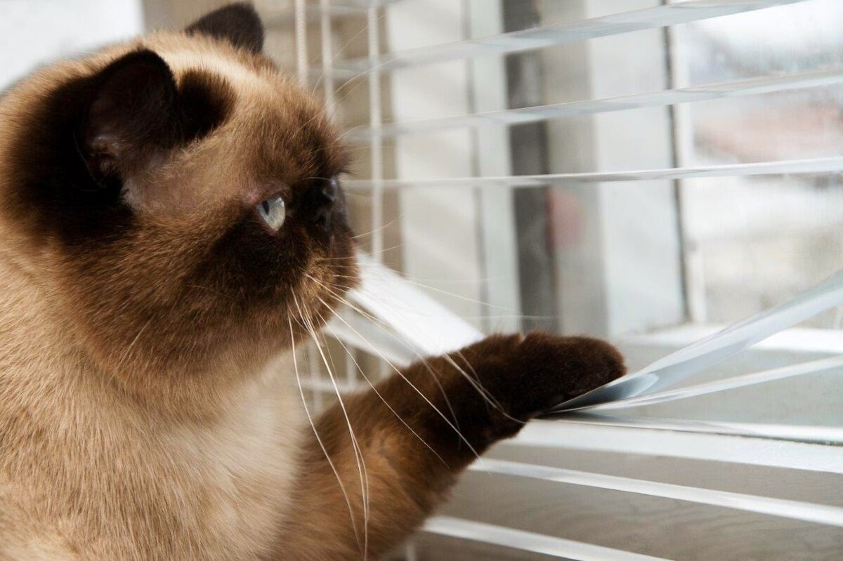 Фото из Интернета.