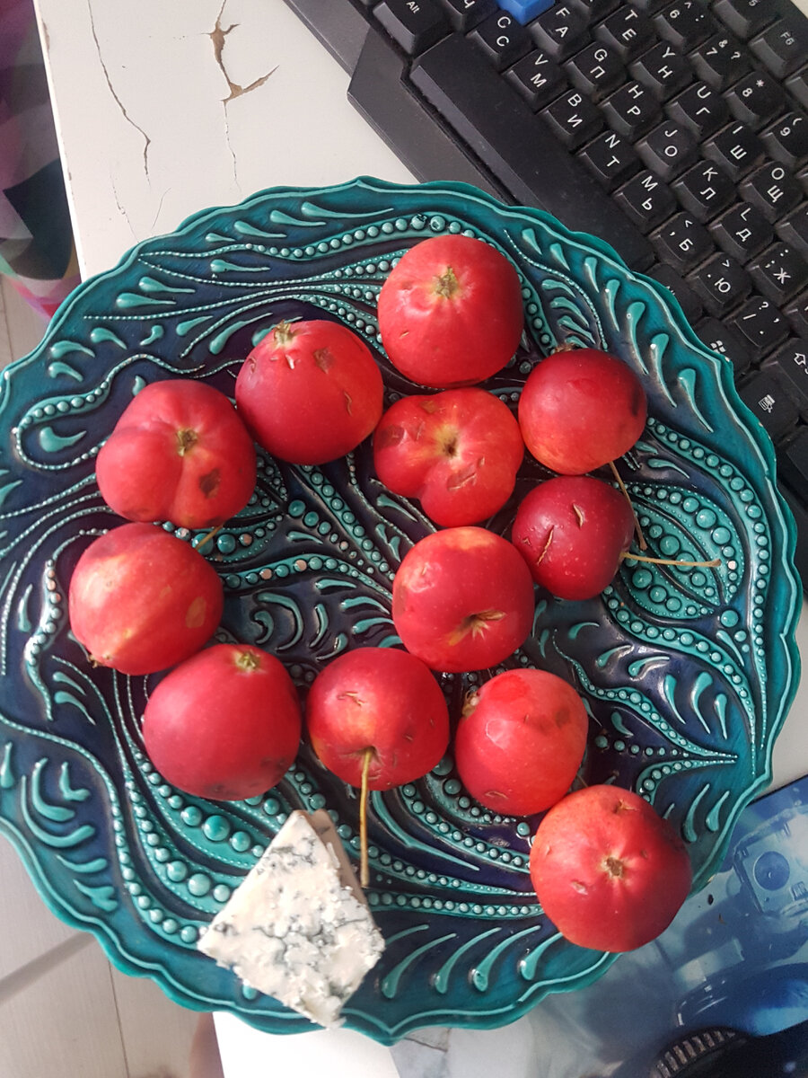 Сыр с плесенью и яблоки