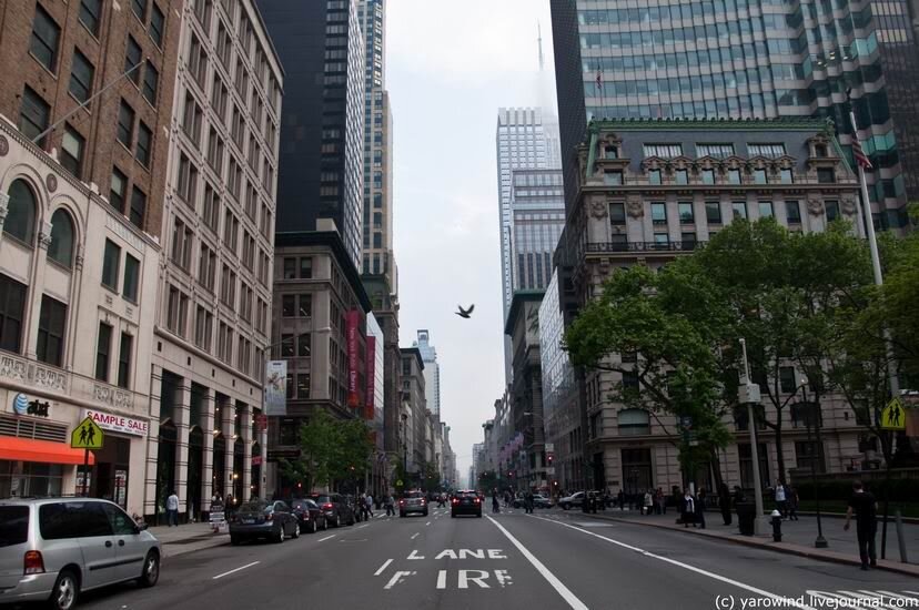 Нью-Йорк, 5-я авеню