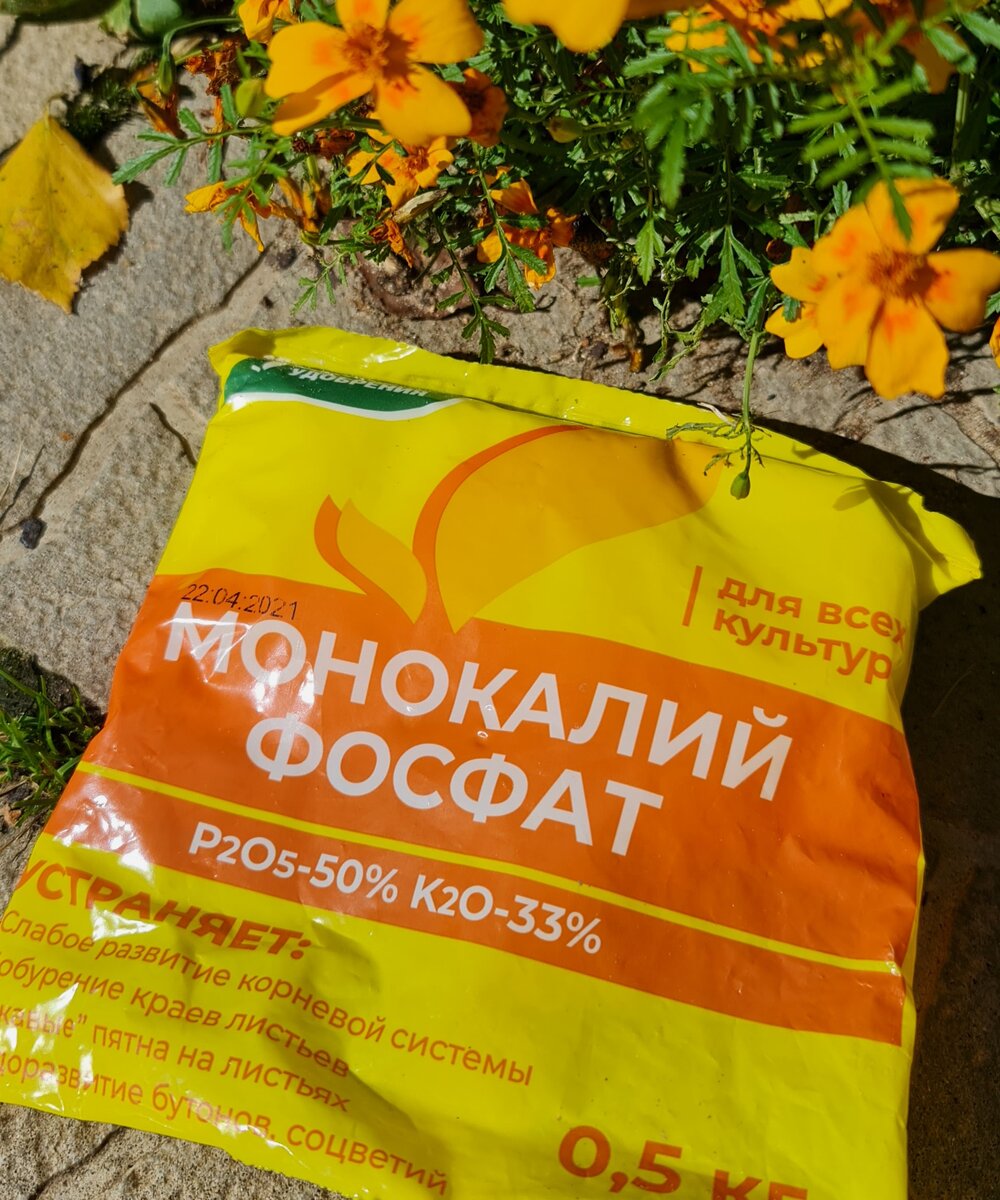 -6