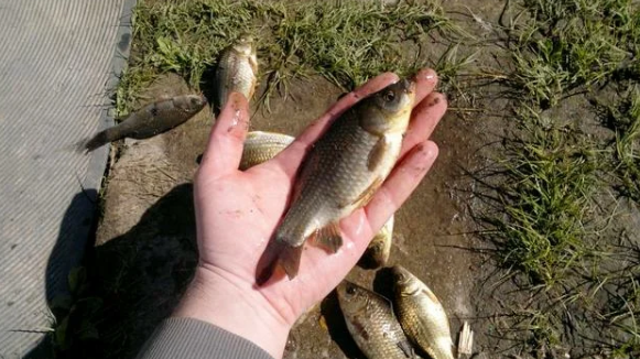 Добавьте описание