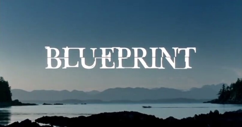 Фильм производства Германии «Клон / Blueprint», снятый в 2003 году по мотивам одноимённого романа Шарлотте Кернер, представляет вниманию зрителя историю одарённой женщины, которая, узнав о...