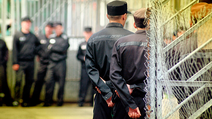 ФОТО: JONAS PETROVAS / SHUTTERSTOCK.COM 