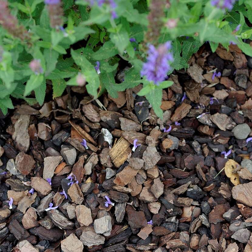 Кора - лучшая мульча для многолетних грядок