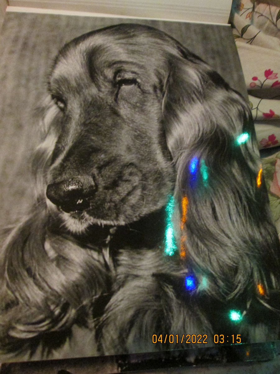 Альбом до сих пор у меня. Вот эта фотография. Ведь хорош?