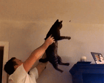 Иногда кажется, что время от времени Овнам интересно абсолютно все!