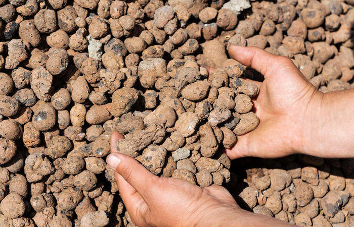 Под керамзитом может завестись плесень. ¦Фото: jackwharperconstruction.com.