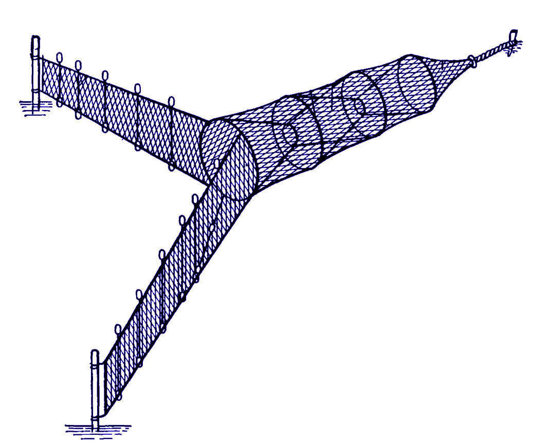 Чертежи ставного невода