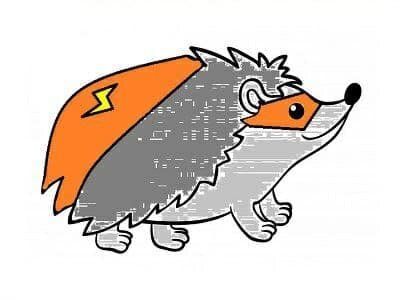 Ёжик Молния собственной персоной