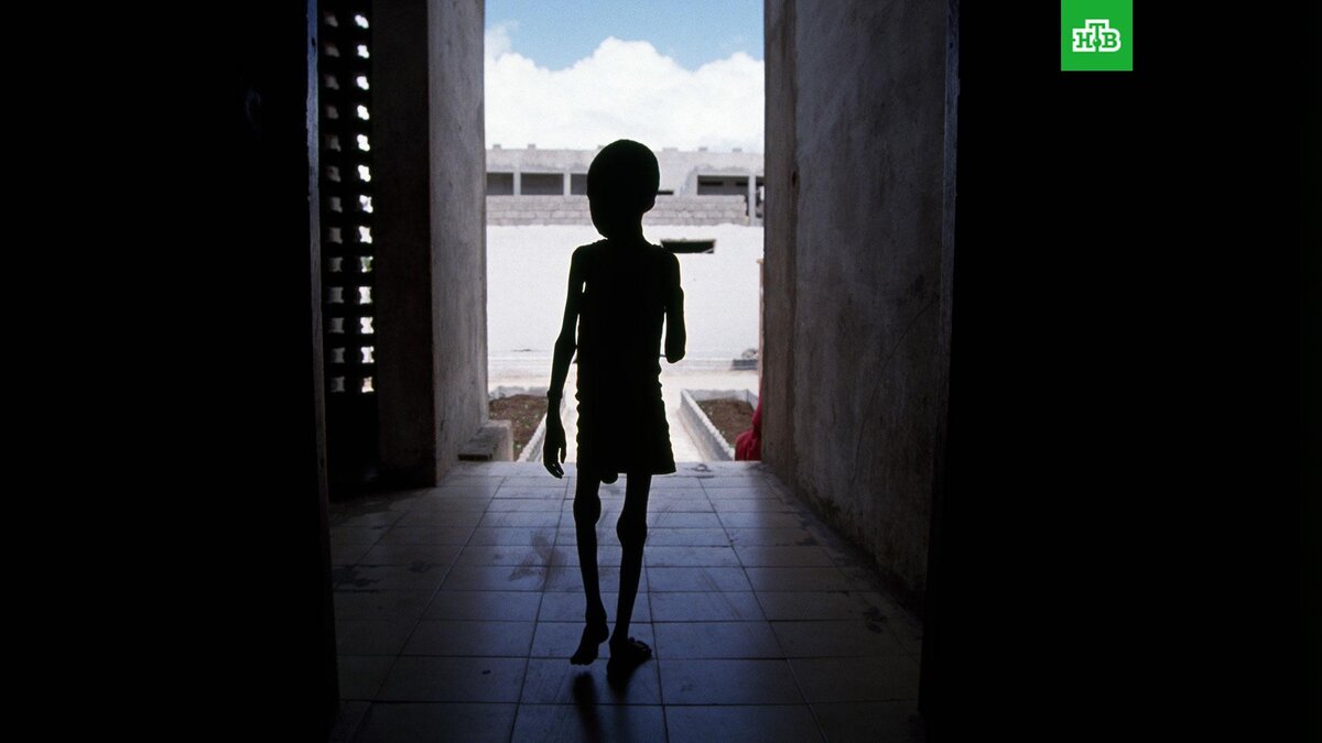    Фото: Bernard Bisson / Sygma via Getty Images