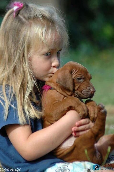 фото из открытого источника  Pinterest картинки https://clck.ru/hUbgd