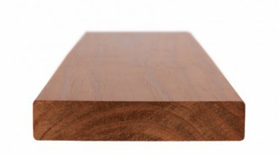 PINO Premio (новозеландская термососна) 