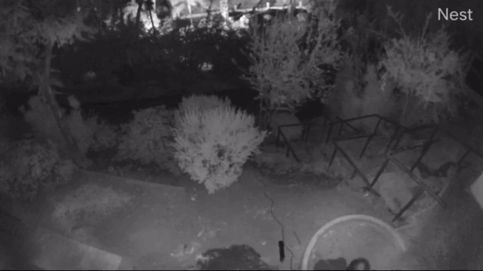 Автор - YouTube “Renee Schiavone”