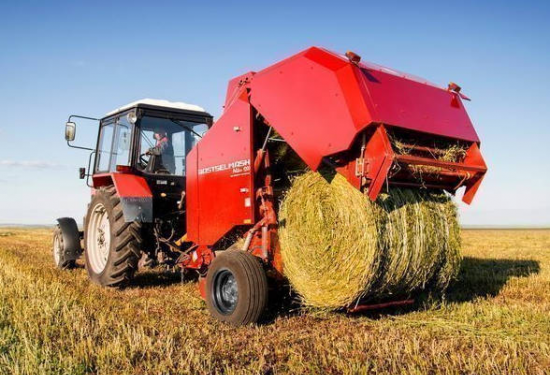    247 тысяч тонн и 100% плана. Оренбуржье «уходит в зиму» с солидным запасом сена Андрей Севостьянов