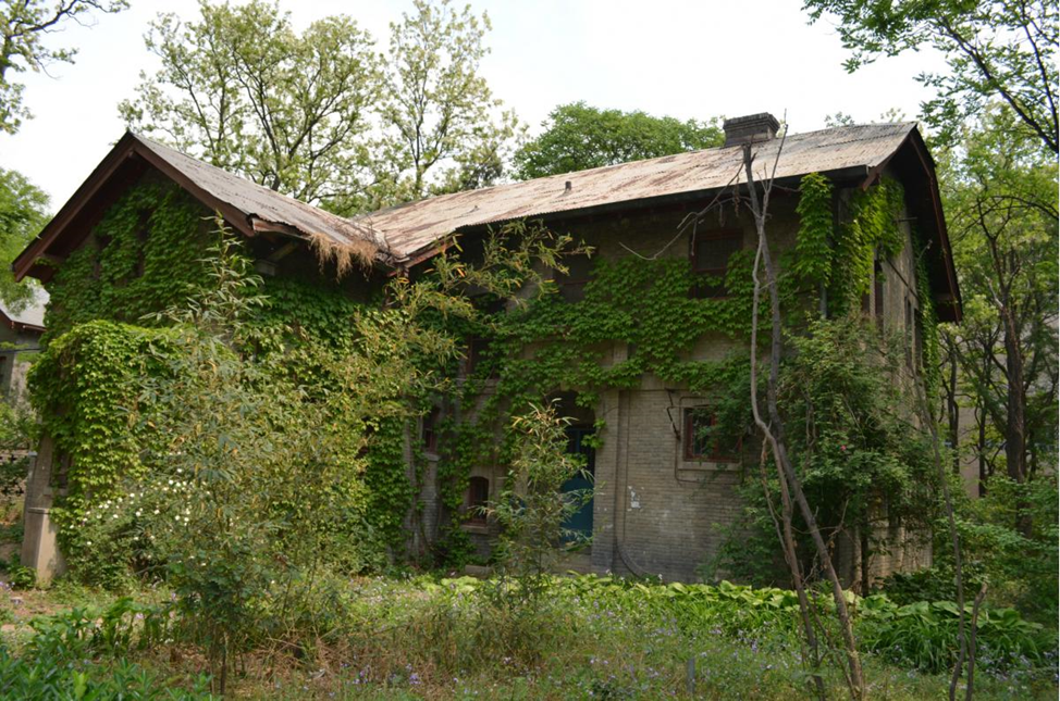 Заброшенный дом похож на умирающего одинокого человека.