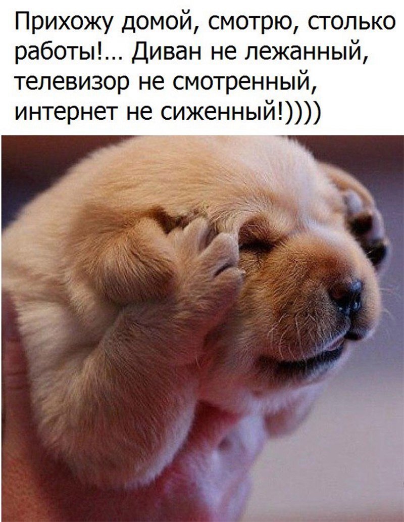 https://mtdata.ru/u16/photo6148/20298621856-0/original.jpg