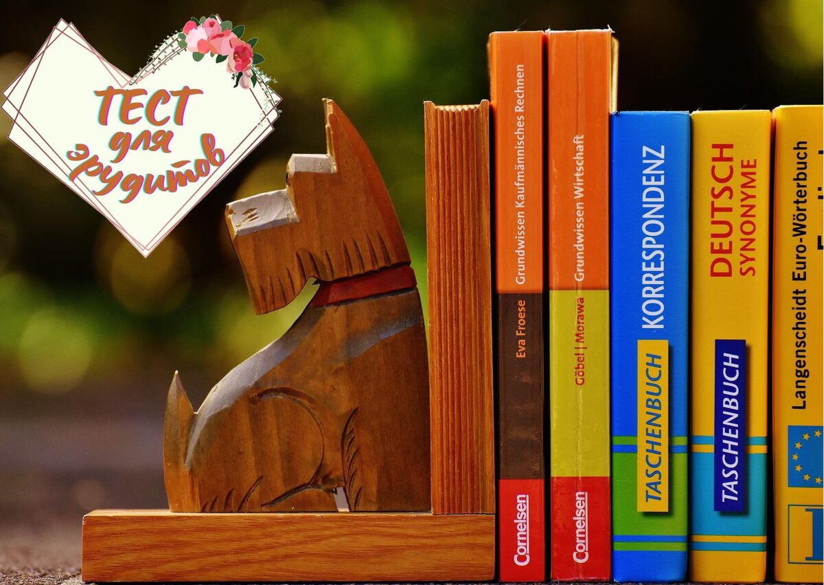 Источник изображения: pixabay.com, дизайн автора публикации