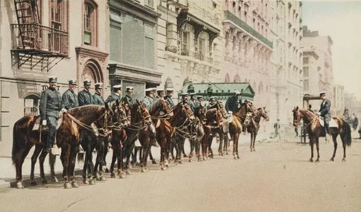 Жанрам полиция 1905. Жардам полиция 1905. Парижская полиция 1905 обложка. Парижская полиция 1905 DVD Cover.