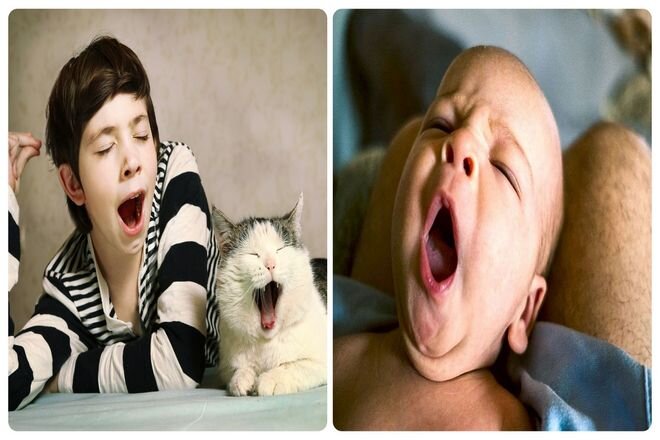 Почему зевание заразно: научные объяснения и факторы
