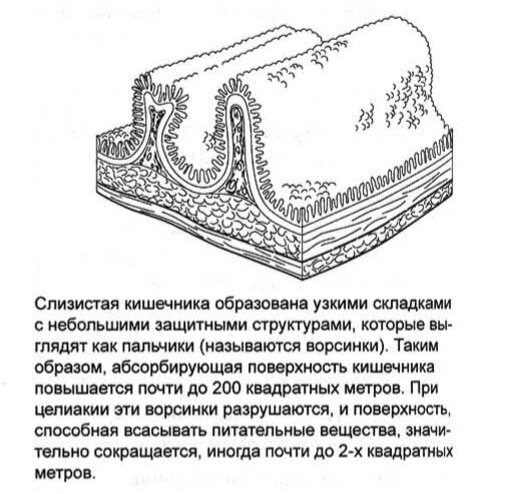 Из книги д-ра Р. Ханаса “Диабет 1 типа у детей”