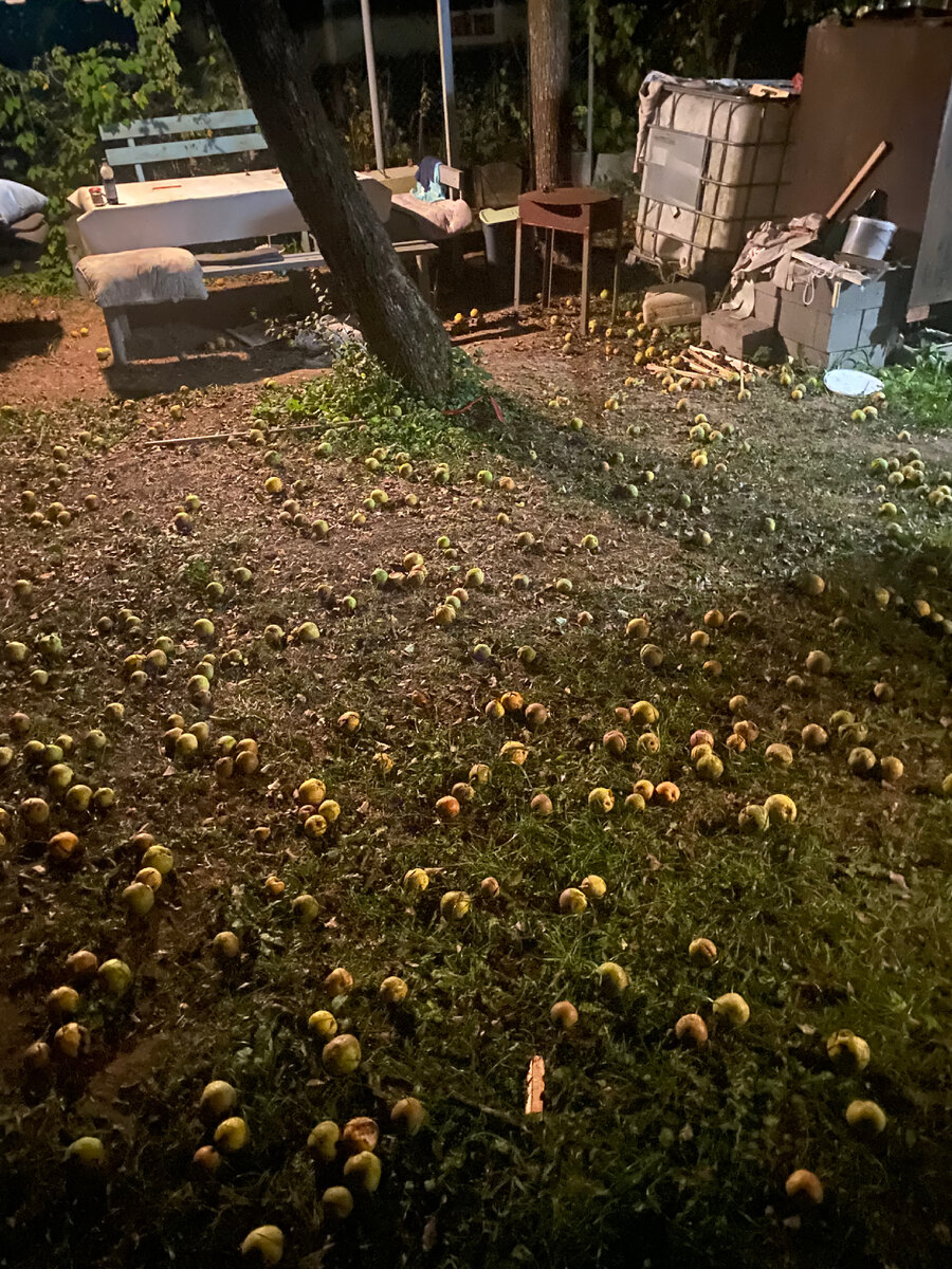 Вот такая картина в 8 вечера меня встретила.