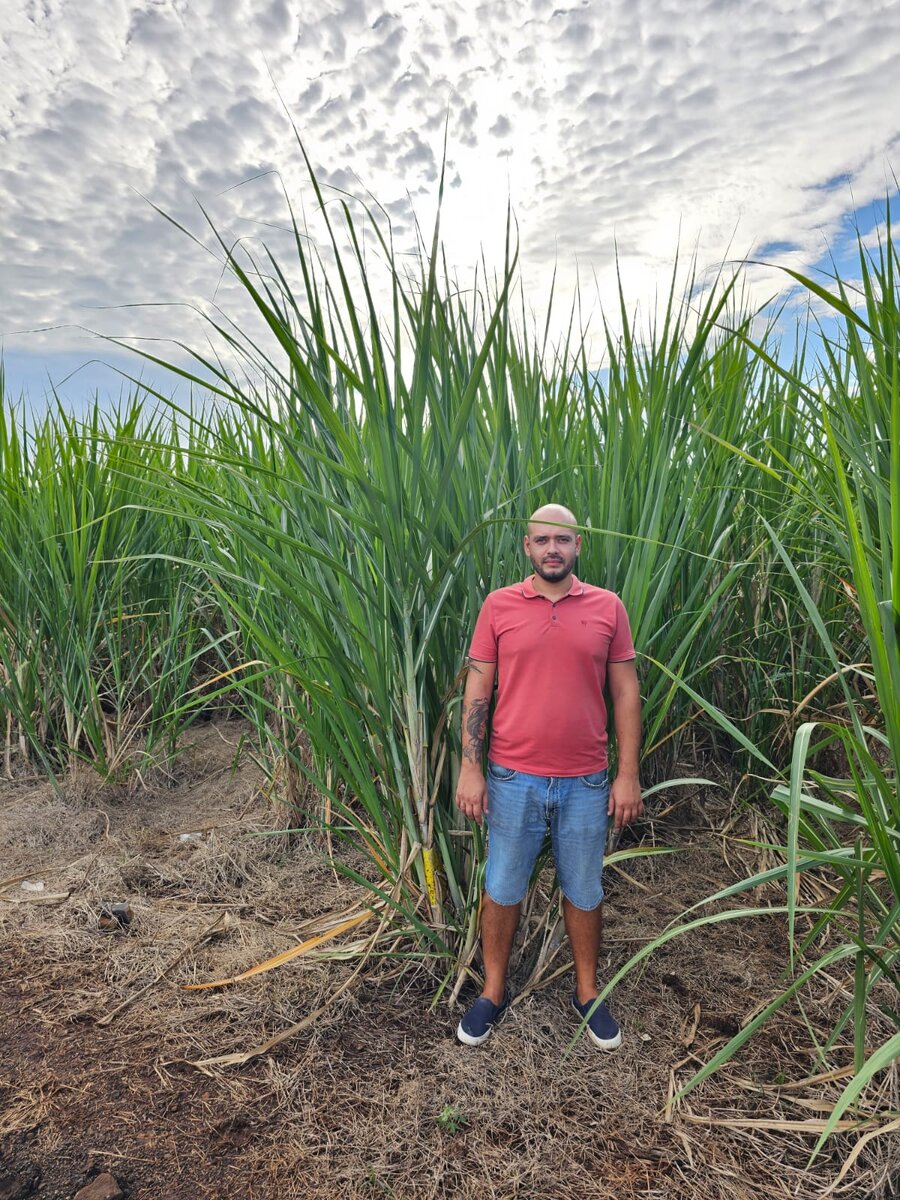 Без применения технологий NAGRO