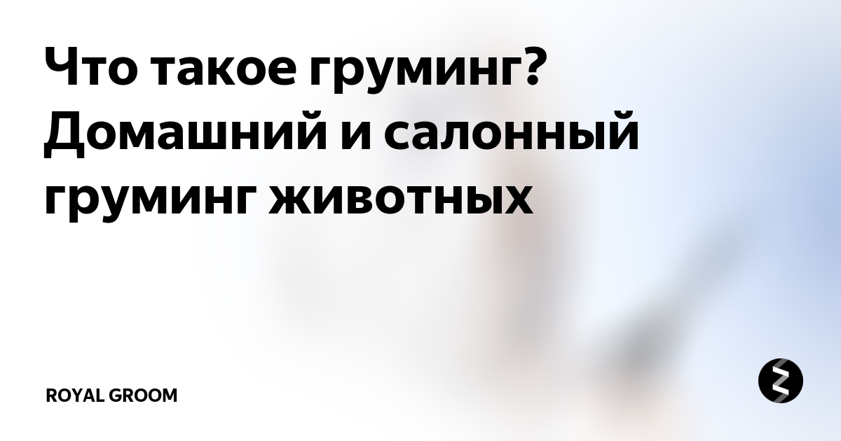 Что такое груминг? Домашний и салонный груминг животных | Royal Groom ...