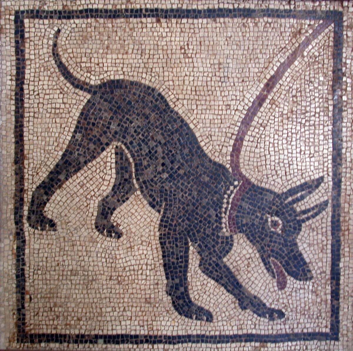 Мозаика Cave canem из Помпей