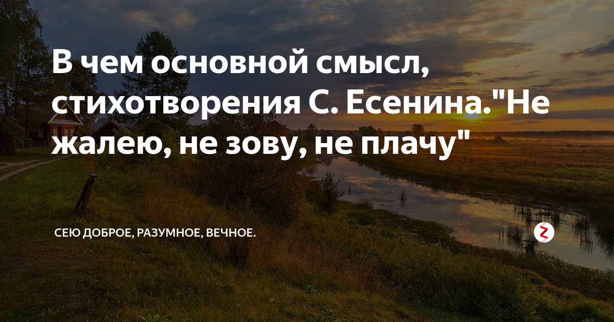 Смысл стихотворения не жалею не зову не плачу. Буйство глаз и половодье чувств Есенин. Есенин кричит. Анализ стихотворения не жалею не зову не плачу Есенин 9 класс. Смысл стихотворения россия