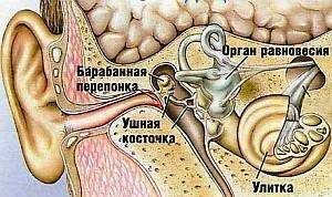 Острый и хронический отит: диагностика и лечение