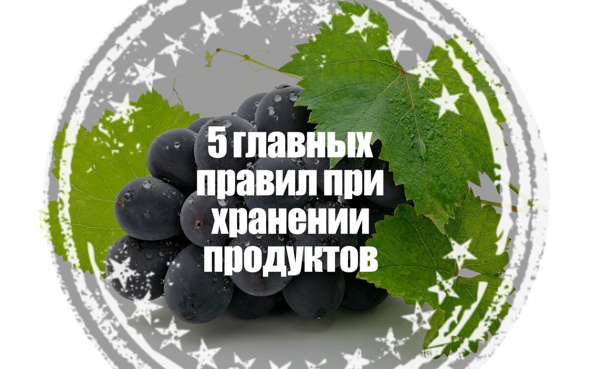 Самые важные правила хранения продуктов. | Пищевая безопасность | Дзен