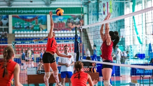Источник: kubansport.ru 

