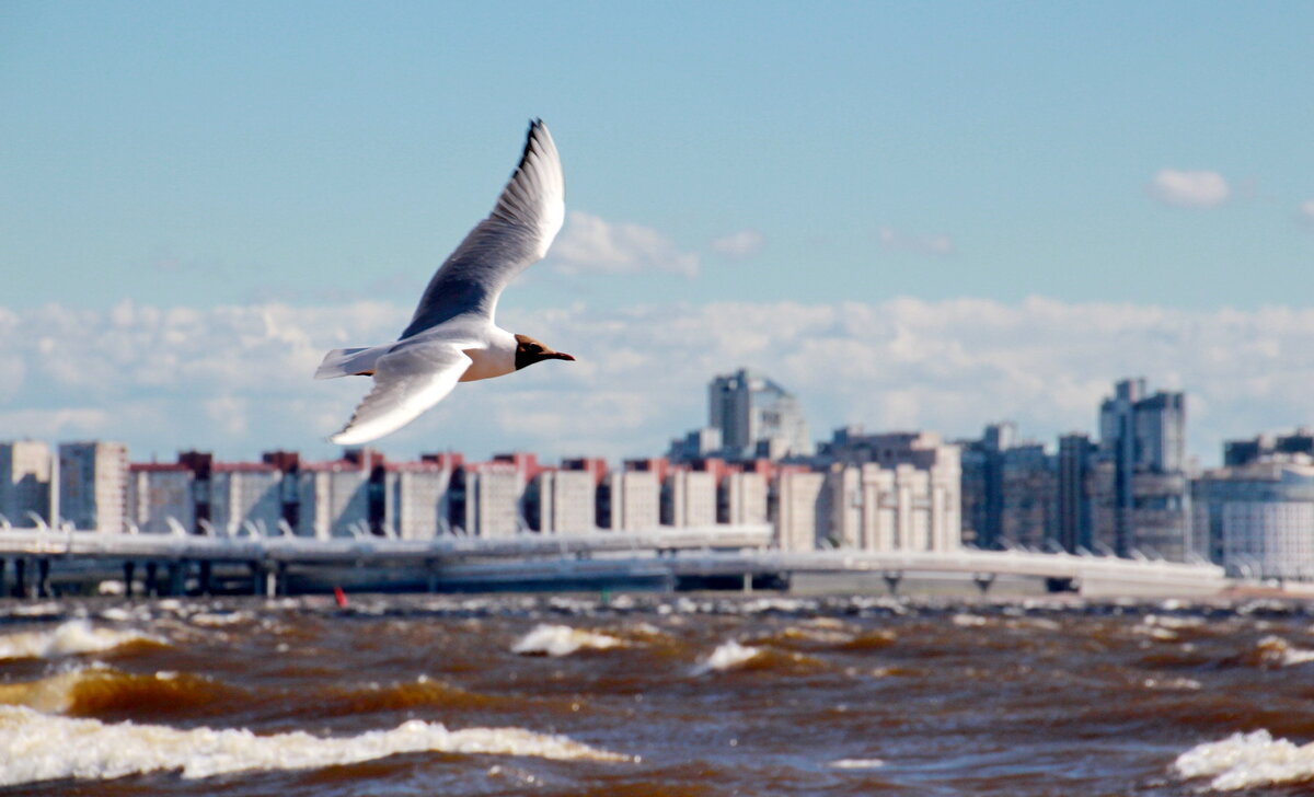 Фото Дмитрия Ратникова