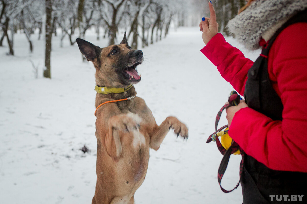 Тигра из Грациано - фото Tut.by