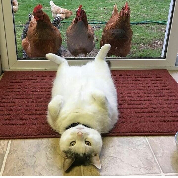 -2