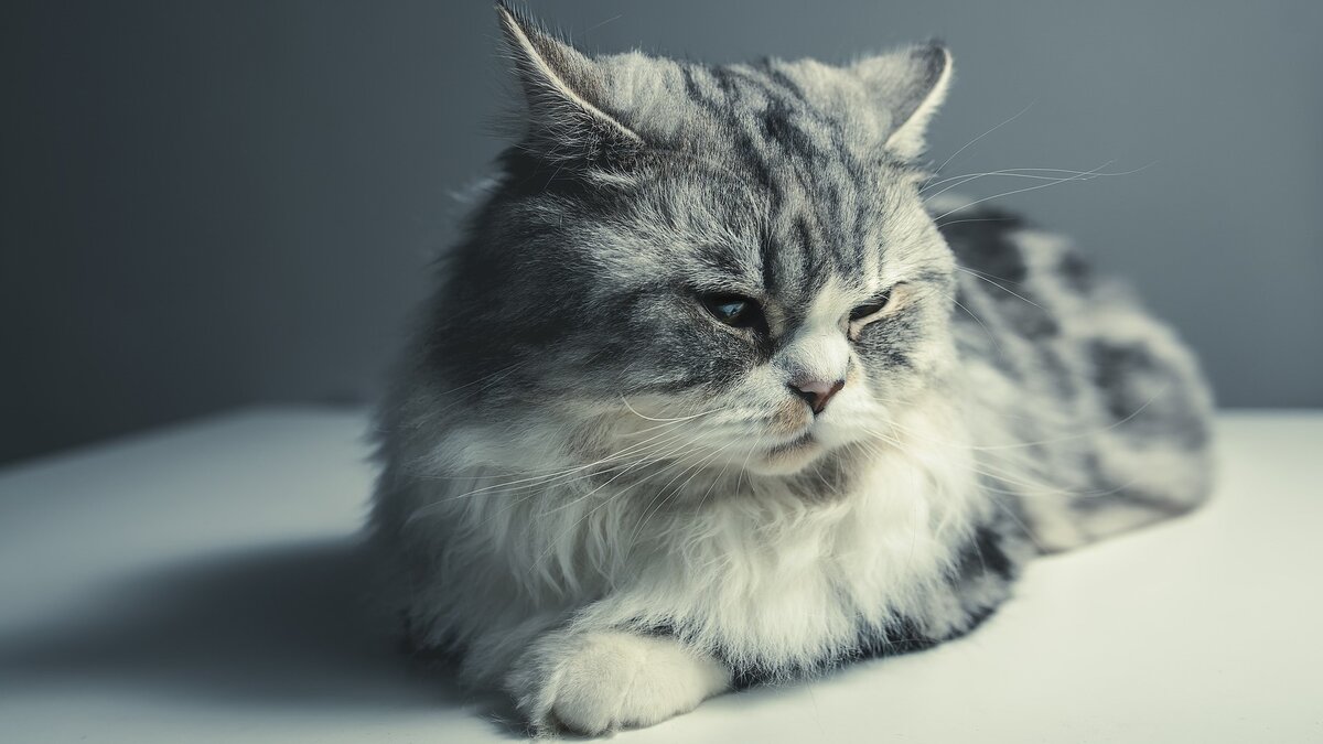 источник фото https://clck.ru/EKsoL