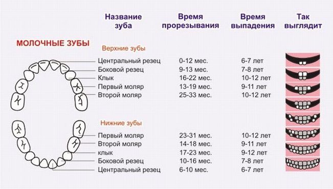 Может ли возникать рвота при прорезывании зубов у младенца