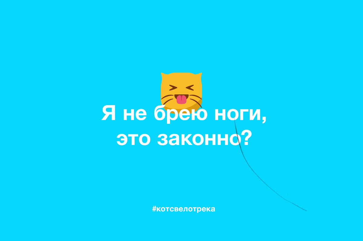 Я не брею ноги, это законно? | Кот с велотрека | Дзен