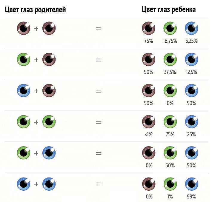 Может ли у двух голубоглазых родителей родиться ребенок с карими глазами?