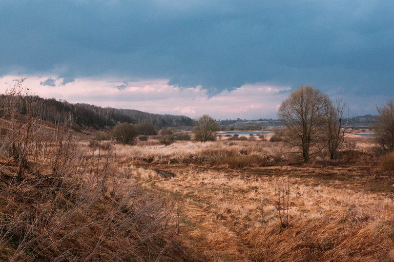 Приокский пейзаж близ села Нижние Подгоричи, окрестности Перемышля