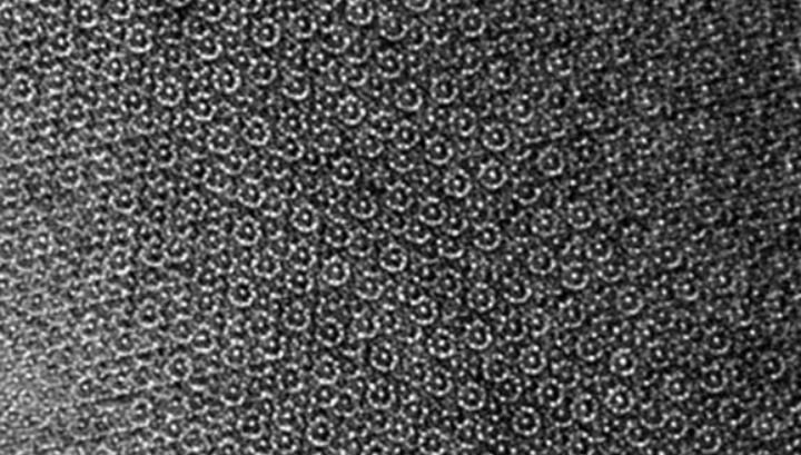 "Невозможная" структура квазикристалла. 